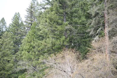 DSC_0208 (Large).JPG